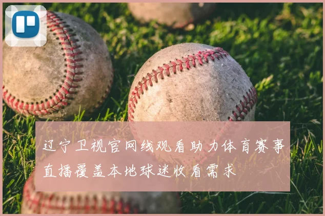 辽宁卫视官网线观看助力体育赛事直播覆盖本地球迷收看需求