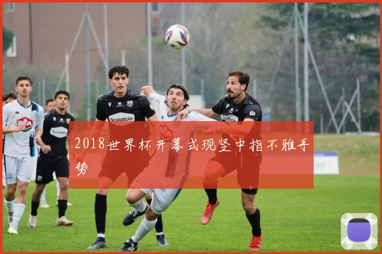 2018世界杯开幕式现竖中指不雅手势