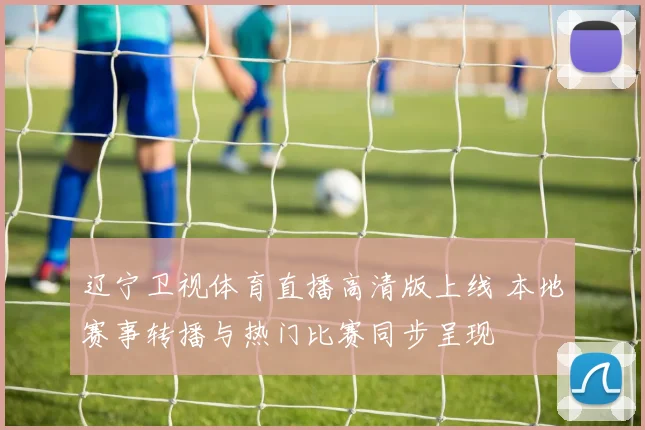 辽宁卫视体育直播高清版上线 本地赛事转播与热门比赛同步呈现