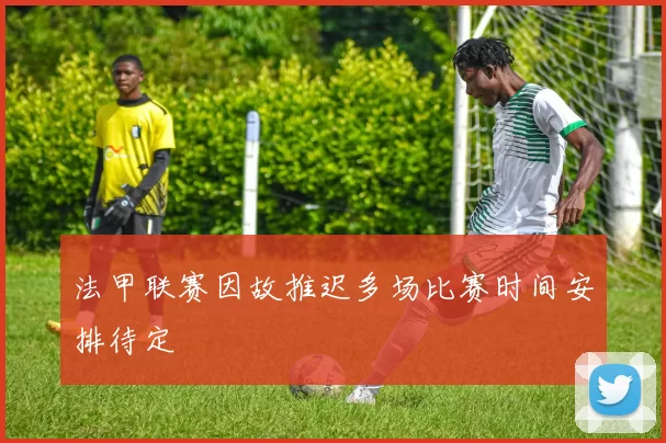 法甲联赛因故推迟多场比赛时间安排待定